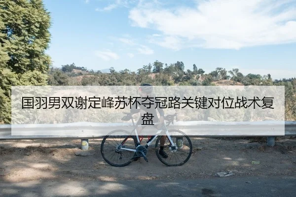 国羽男双谢定峰苏杯夺冠路关键对位战术复盘